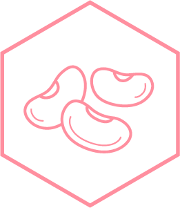 Ilustraci&oacute;n de frijol marino